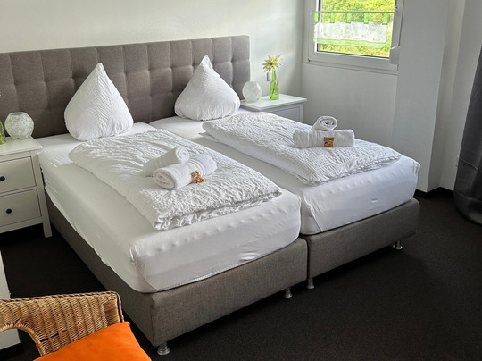 Hotel Emmerich主图