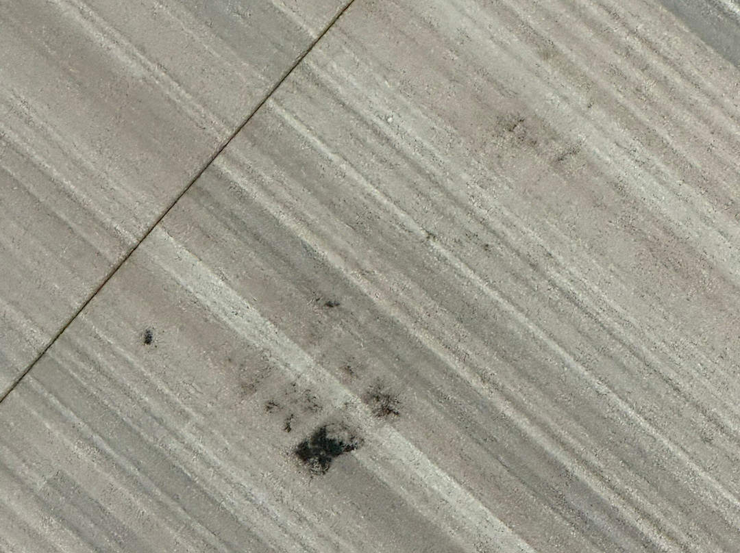 AmericInn by Wyndham Appleton Downtown主图