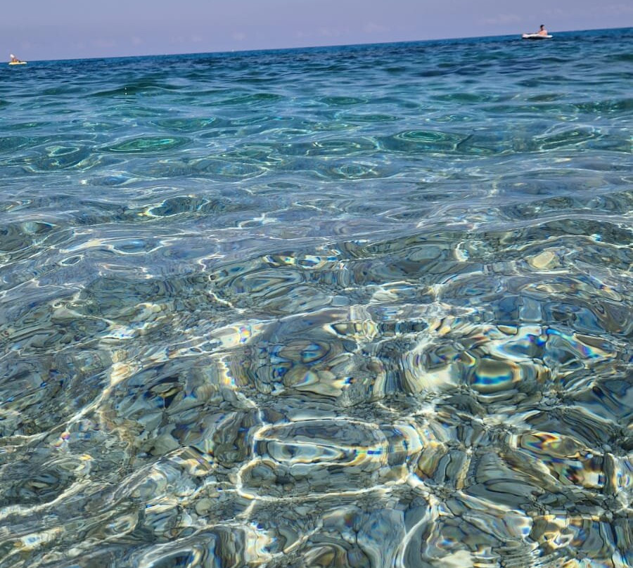 Hotel Scoglio del Leone主图