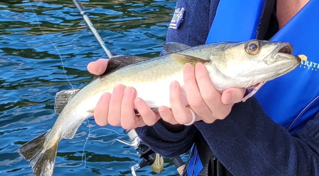 Oslo Fjord Boat Fishing-奥斯陆必去景点