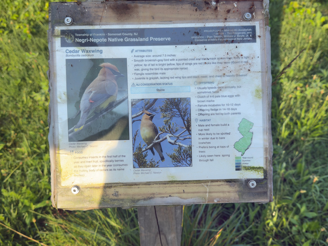 Negri-Napote Native Grassland Preserve-萨默塞特必去景点