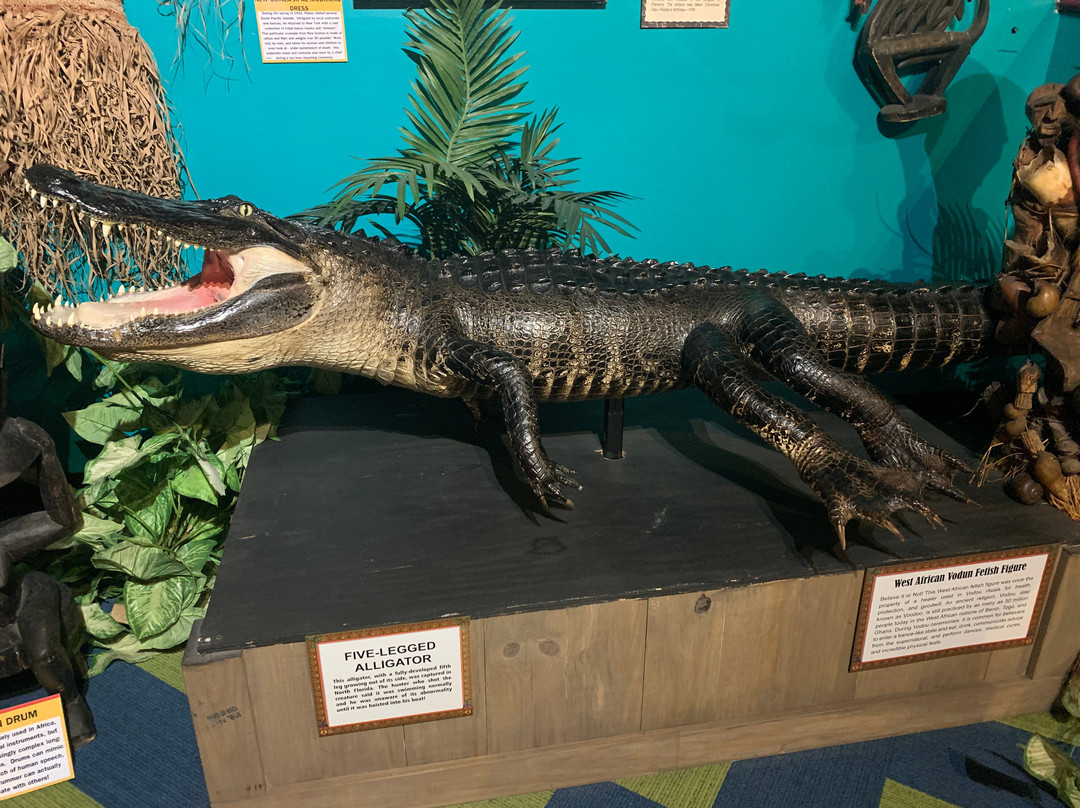 Ripley's Believe it or Not! Ocean City-大洋城必去景点