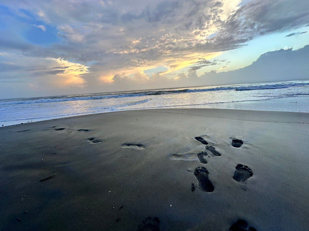 Costa Rica Transport Service-圣何塞必去景点