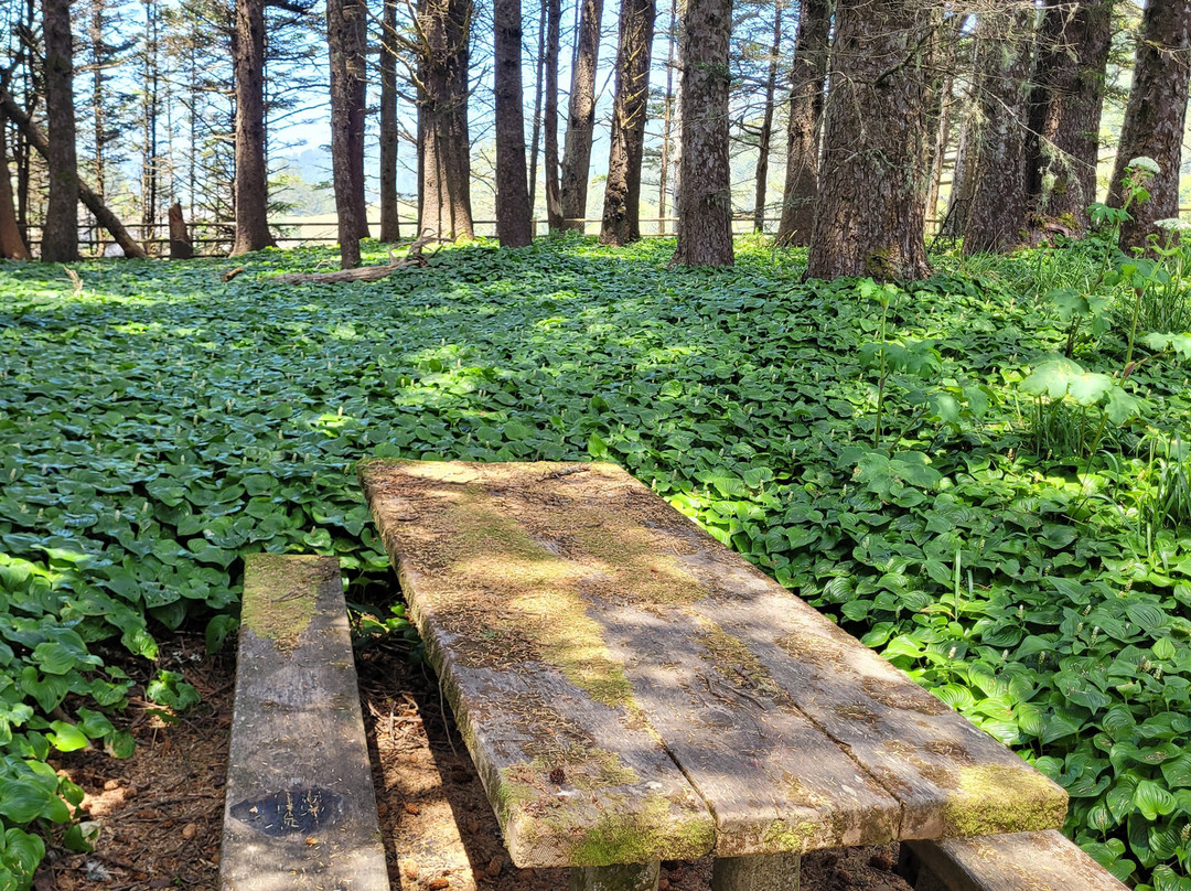 Arch Rock Picnic Area-布鲁金斯必去景点
