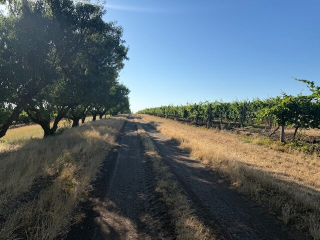 Chateau Purcari主图