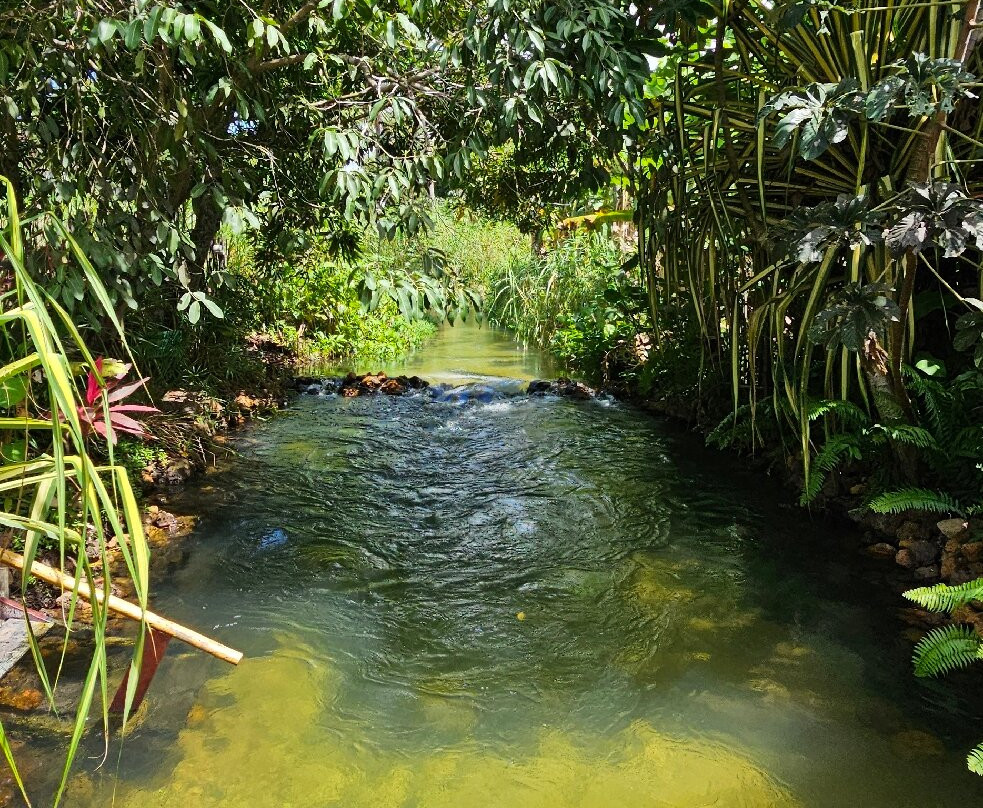 Recanto Pacheco-Rio do Fogo必去景点