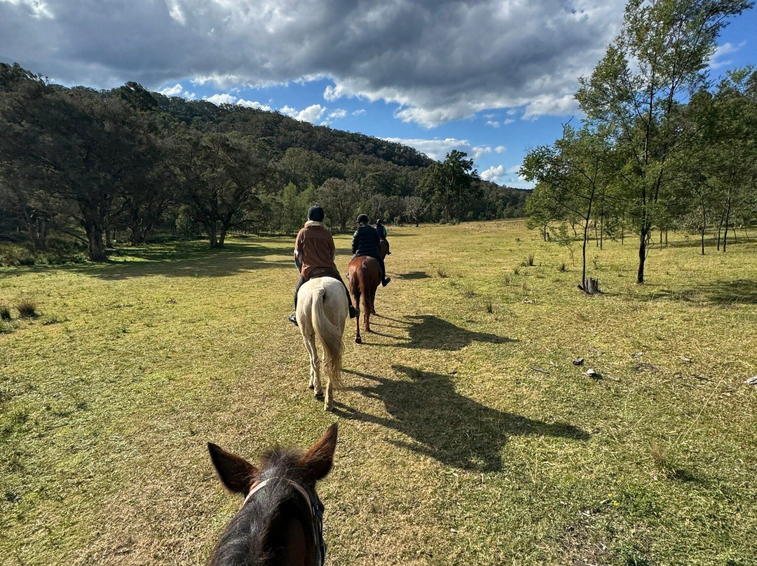 Chapman Valley Horse Riding-Howes Valley必去景点