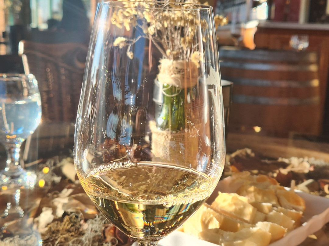 Villa Francioni-Sao Joaquim必去景点