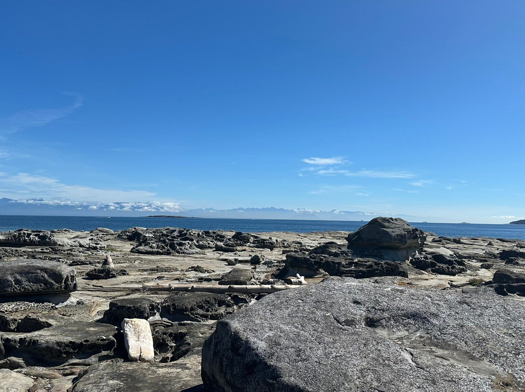 Island Römer Adventures-纳奈莫必去景点