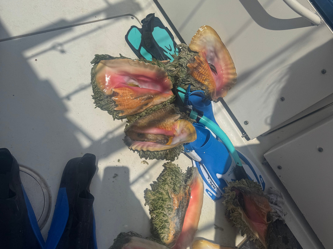 Yan Turnquest Fishing and Eco Tour Charter-Deadman's Cay必去景点