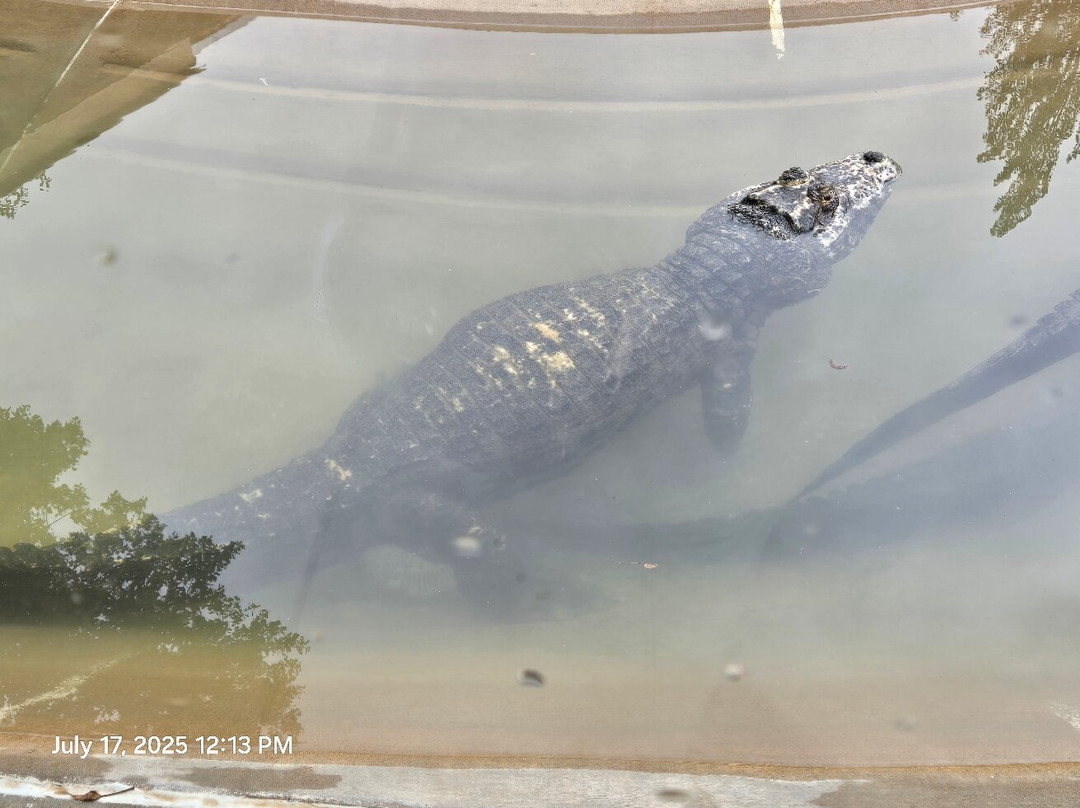 爬虫公园-拉皮德城必去景点