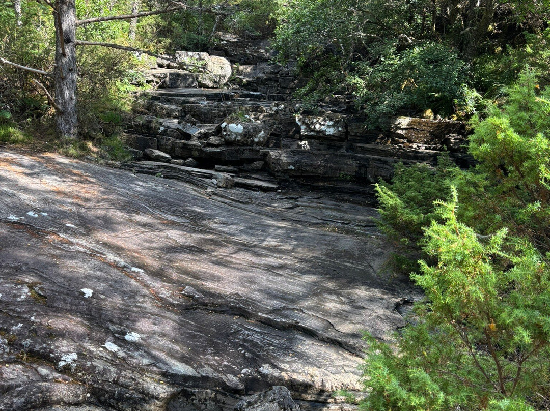 Dundreggan Rewilding Centre-因弗内斯必去景点
