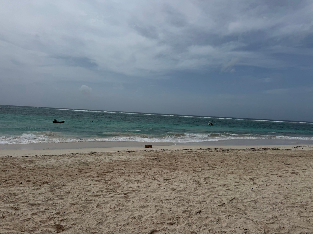 Hotel Isla Bonita主图