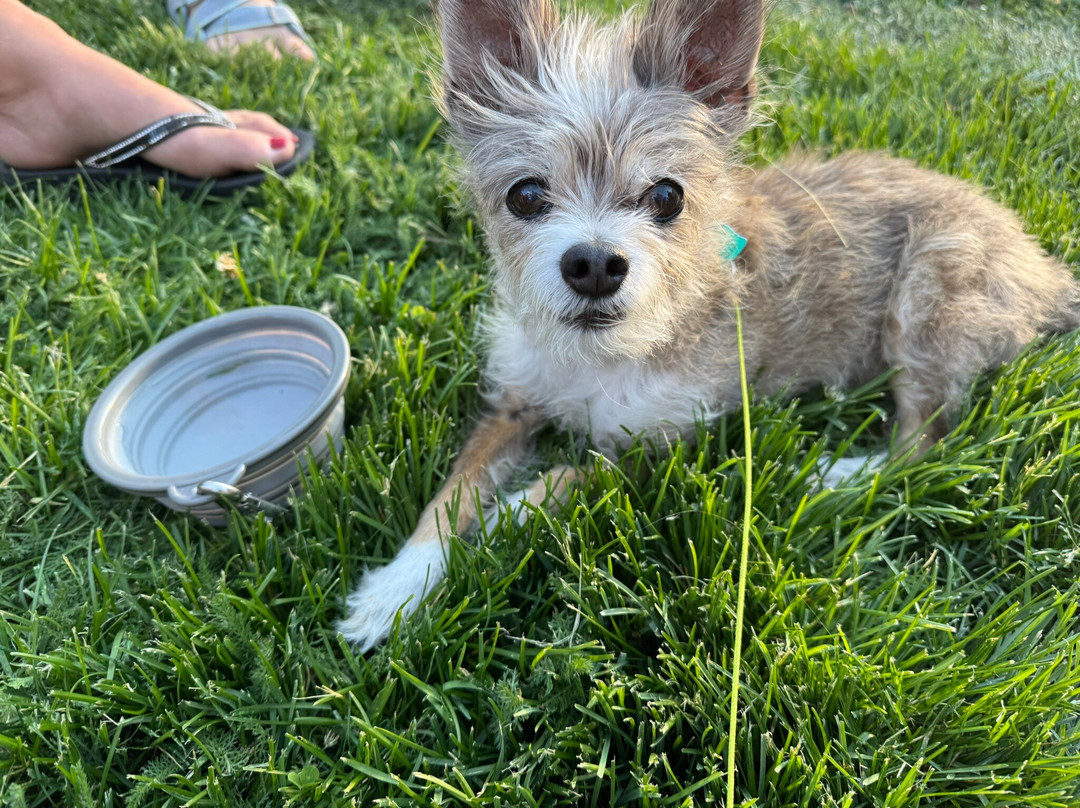 Brundage Mountain Resort-McCall必去景点