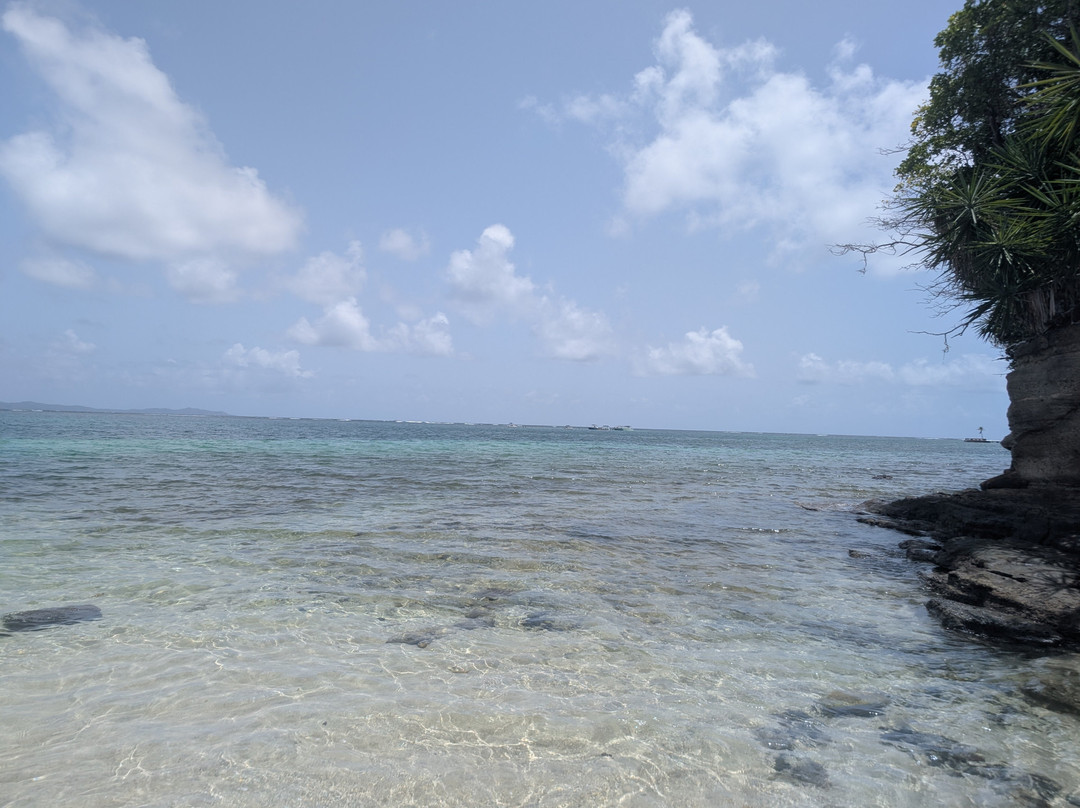 Les Kayaks des Ilets du Francois-Le Francois必去景点