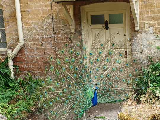 Donnington Brewery-山地斯托必去景点