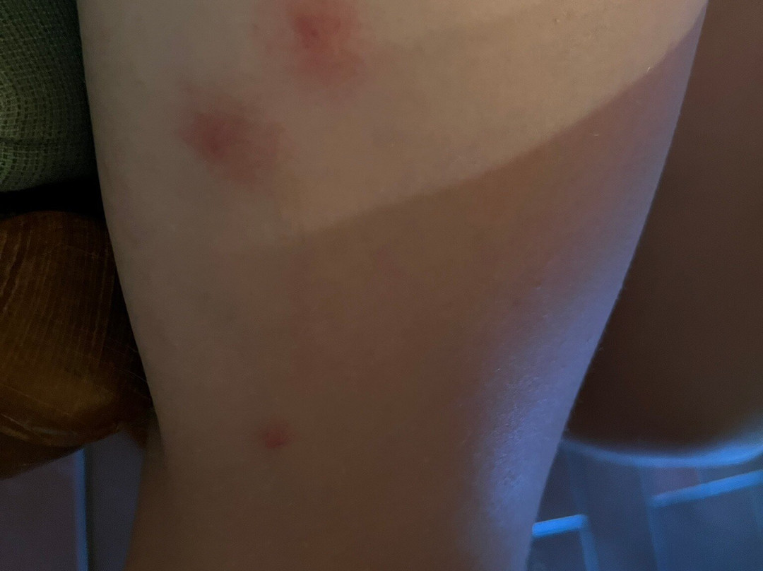 Podere Patrignone主图