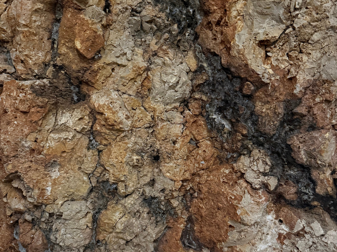 Cantine San Marzano-San Marzano di San Giuseppe必去景点