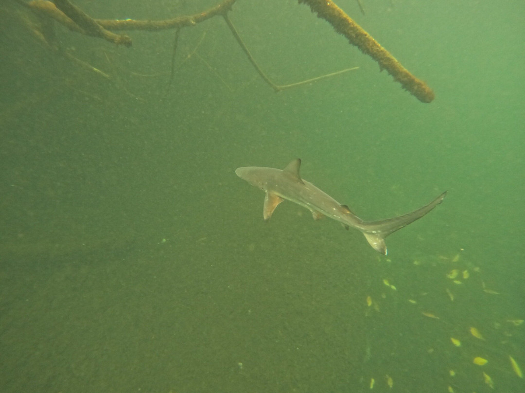 Galapagos Path-阿约拉港必去景点