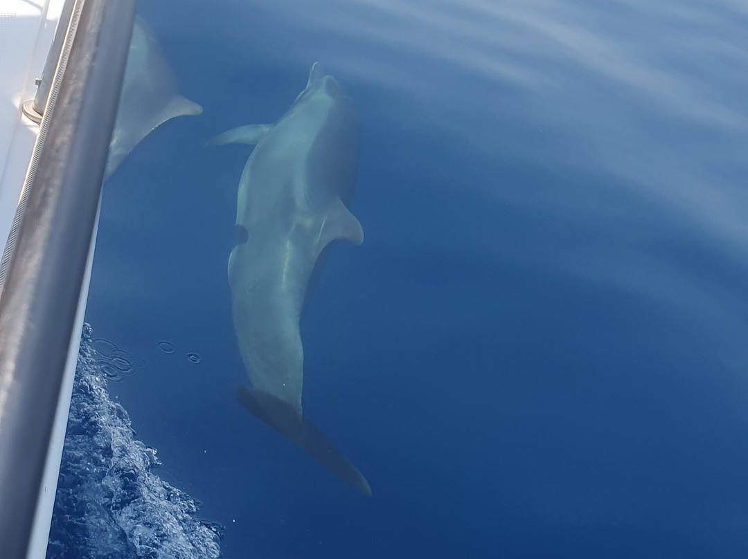 Alternative Sailing-Molyvos必去景点