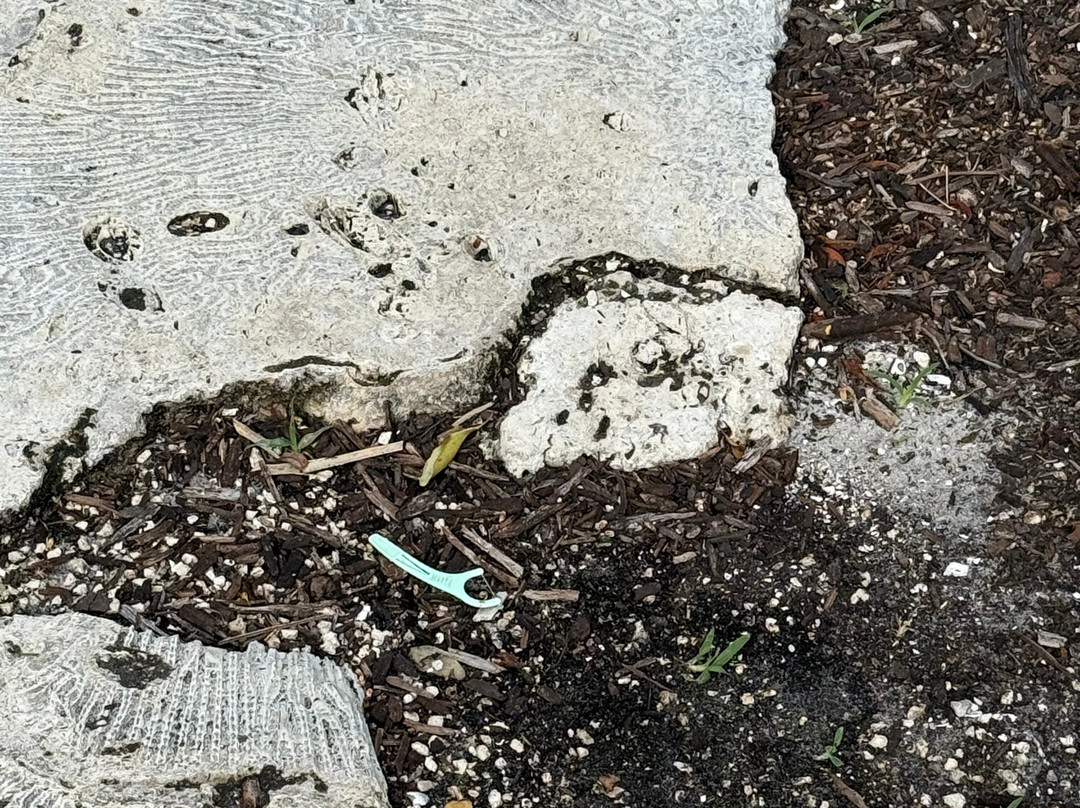 Bali Hai Beach Resort主图