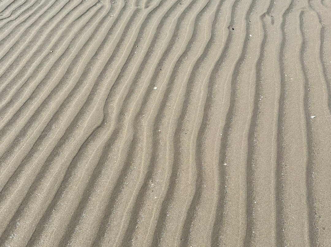 Seaside Park-布里奇波特必去景点