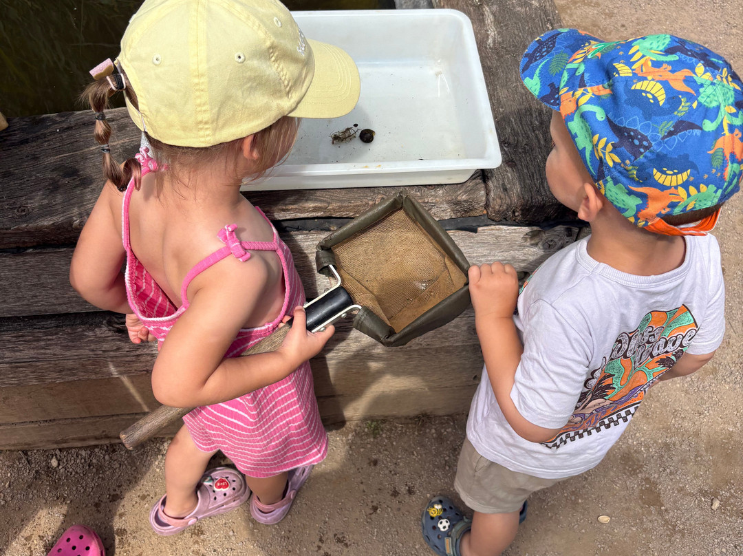 RSBP Dearne Valley - Old Moor-Wombwell必去景点