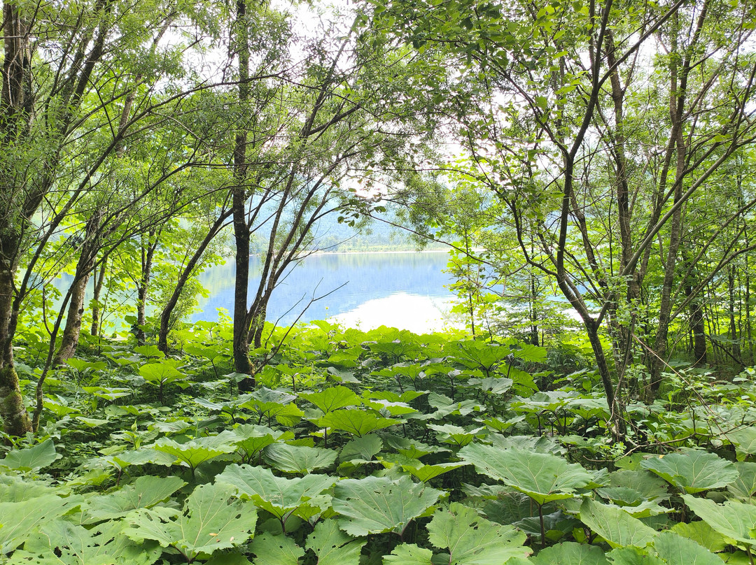 Offensee-Ebensee am Traunsee必去景点