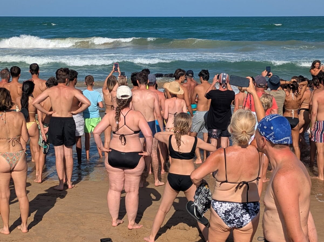 玛塔沙滩-托雷维耶哈必去景点