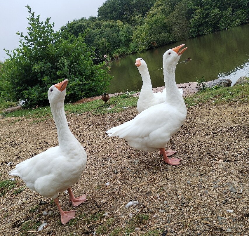 Cité des Télécoms-Pleumeur Bodou必去景点