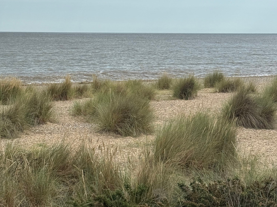 Corton Beach-洛斯托夫特瓷必去景点