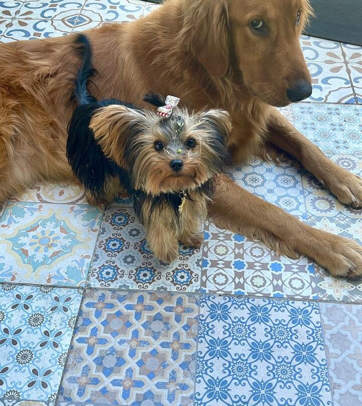 The Blue Eco Lodge主图