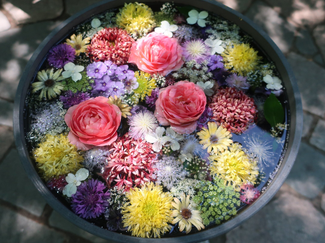 上野农场-旭川市必去景点