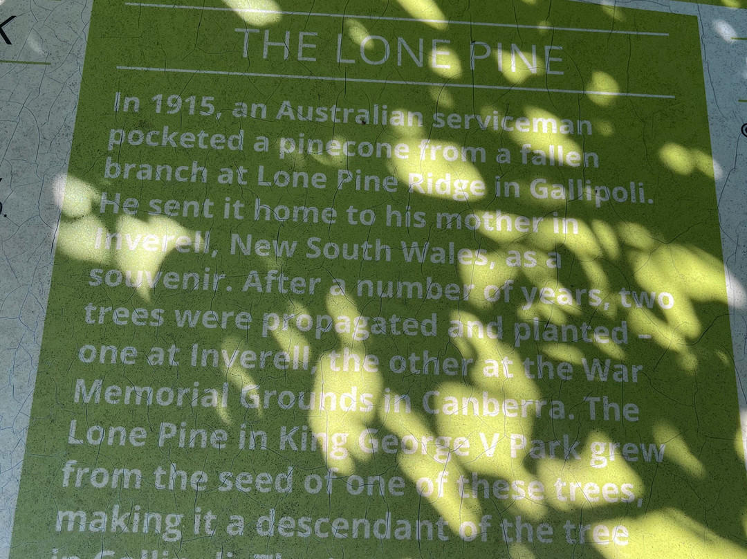 Mosaic Pathway-谢菲尔德必去景点