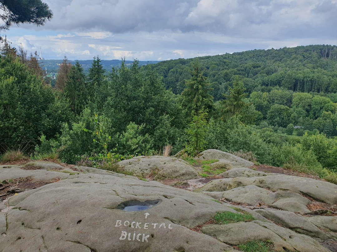 Ringhotel Teutoburger Wald主图