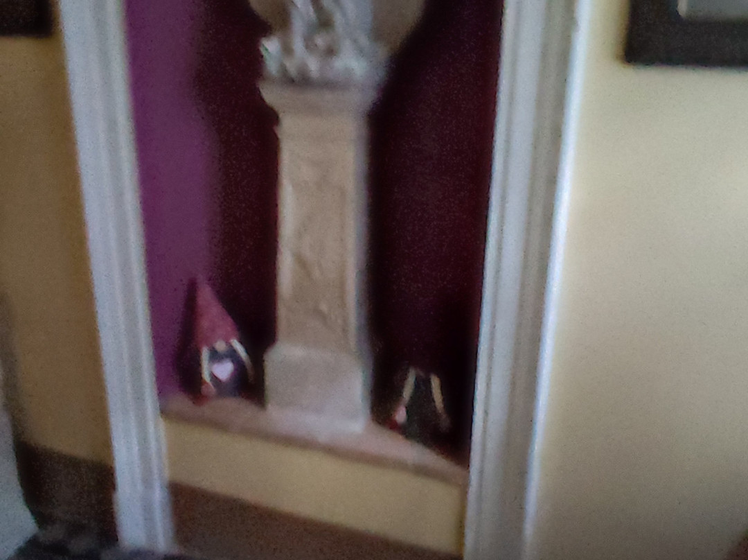 Palazzo Diamante主图