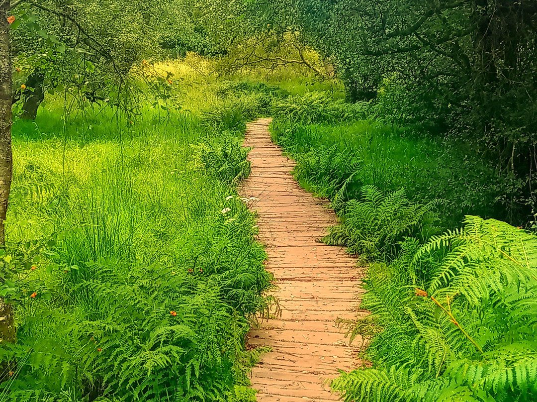 Mugdock Country Park-Milngavie必去景点