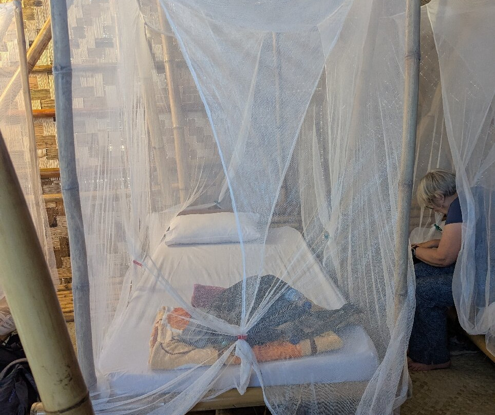 NuhaNera (NN) Homestay主图