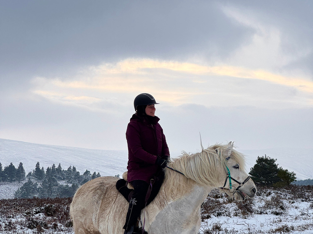 Highlands Unbridled Trail Riding & Trekking Centre-Aboyne必去景点