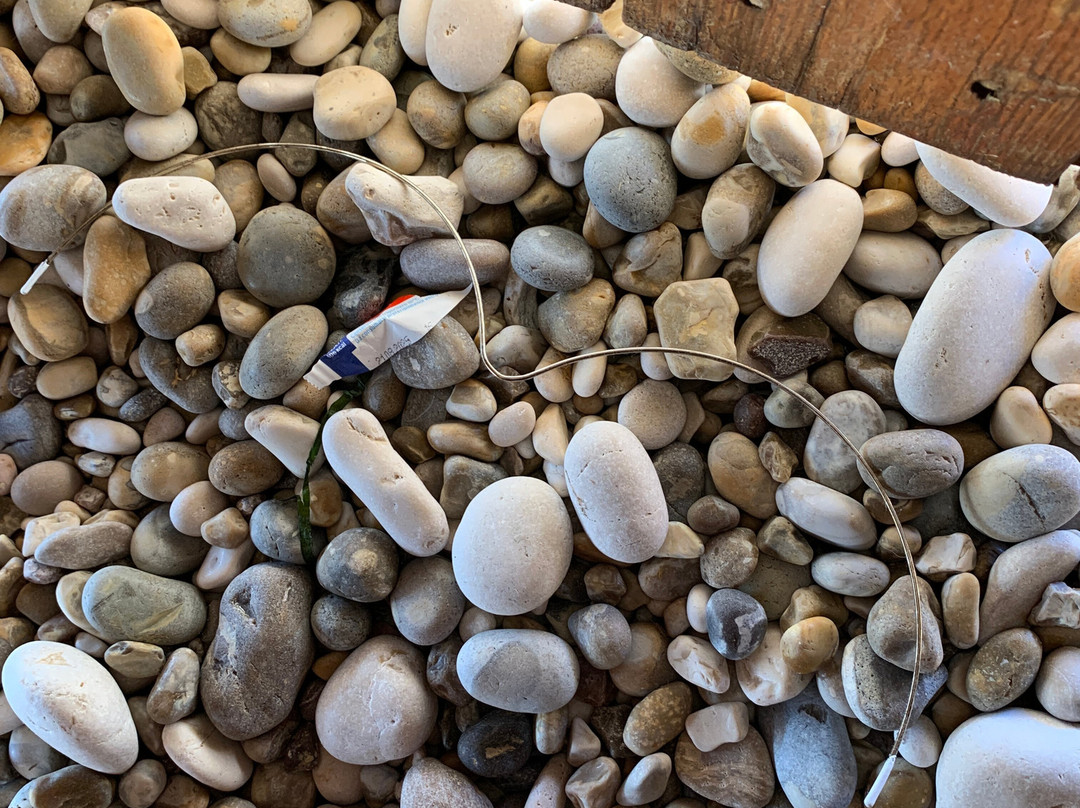 Lido San Matteo-Mattinata必去景点