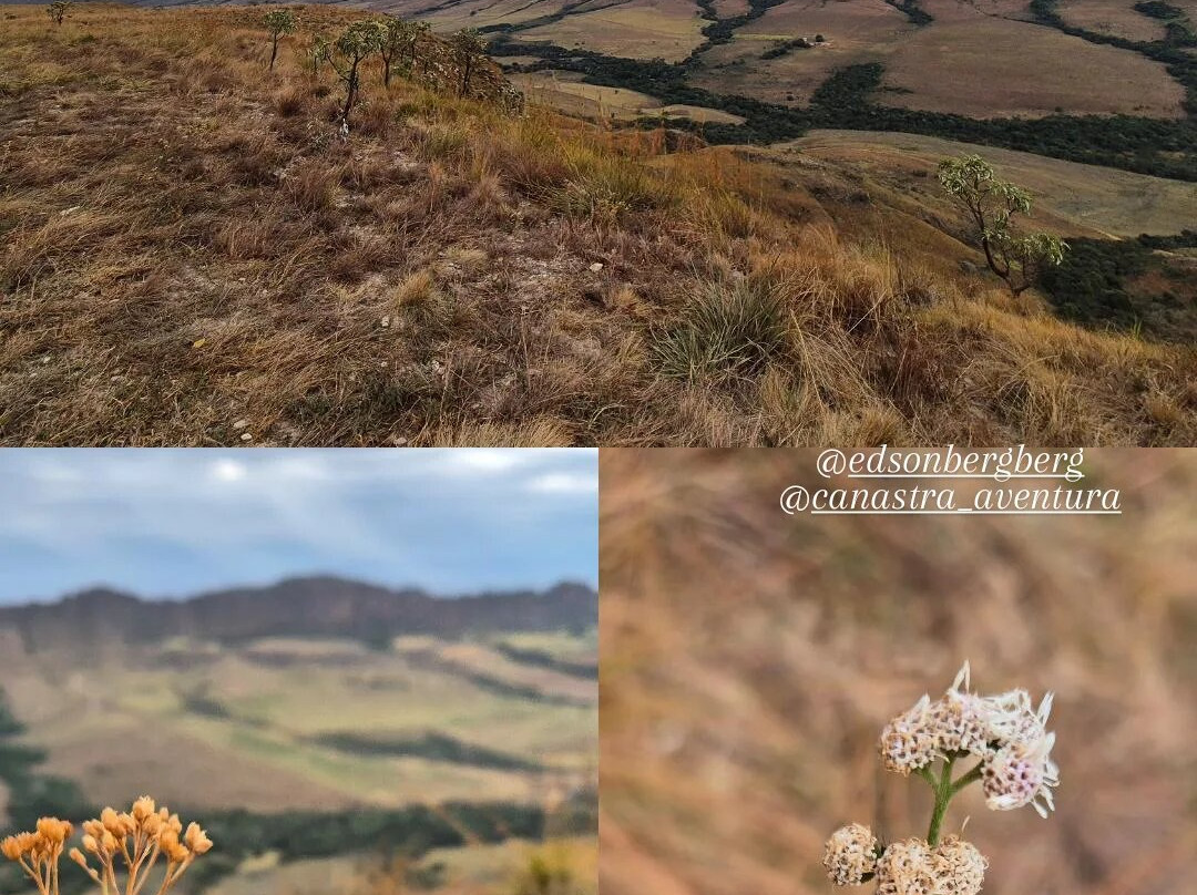 Cachoeira do Ouro-Delfinopolis必去景点