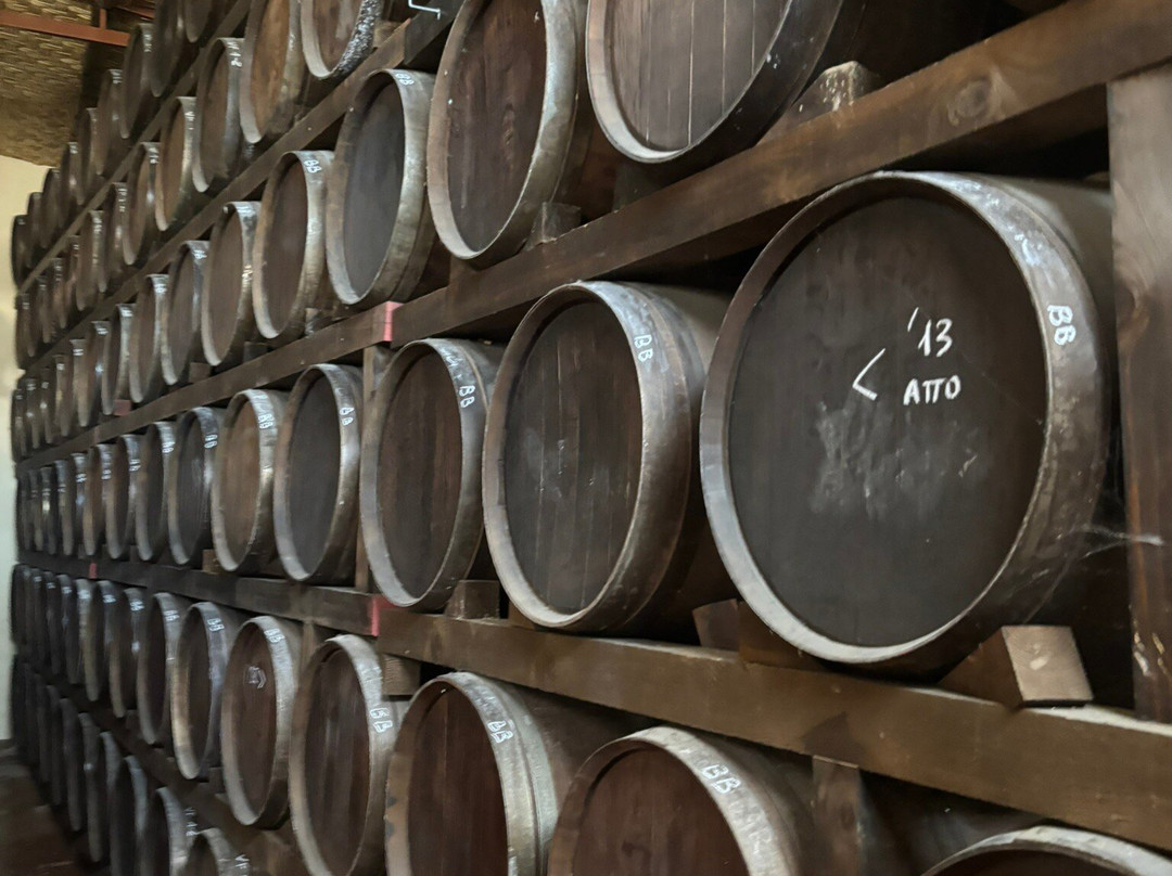 Azienda Vinicola Contini-卡布拉斯必去景点