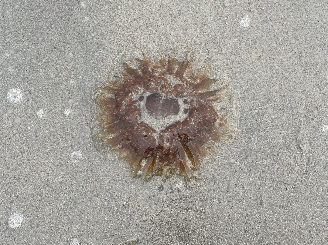 Deadman's Bay Provincial Park-Lumsden必去景点