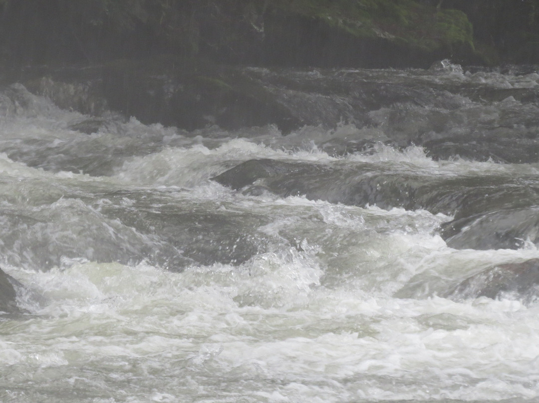 Los Pozones-普孔必去景点