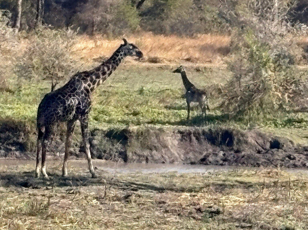 Cruize Wild Safaris-Iringa必去景点