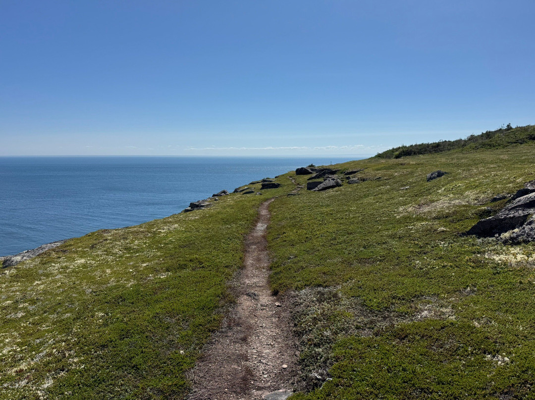 Overfall Brook Trail-Forteau必去景点
