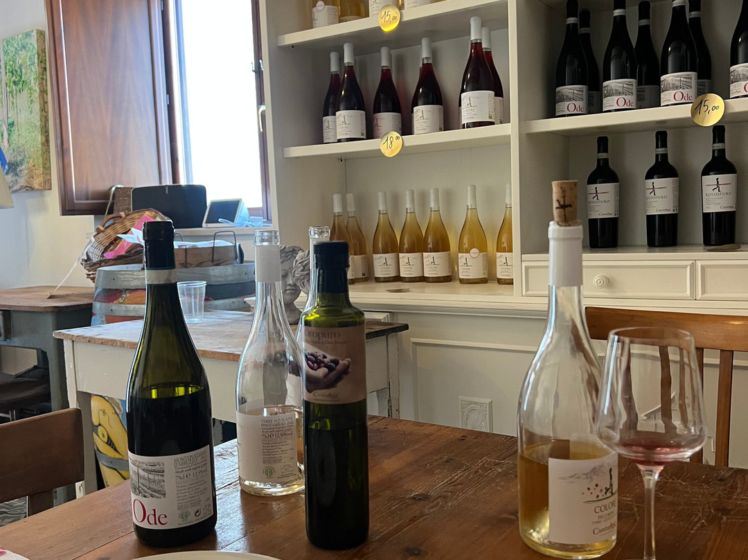 Cantinarte Wine And Evoo Tasting-Navelli必去景点