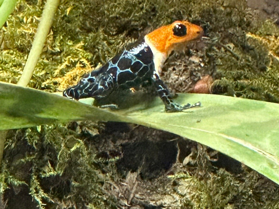 Rostock Zoo-罗斯托克必去景点