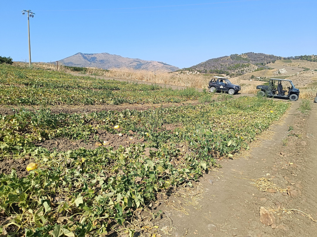 Segesta Tour 4x4-戈尔福海堡必去景点