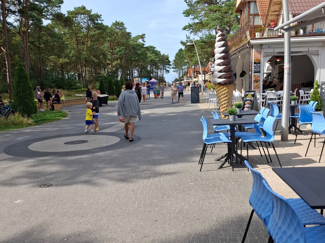 Bocianie Gniazdo Hotel主图